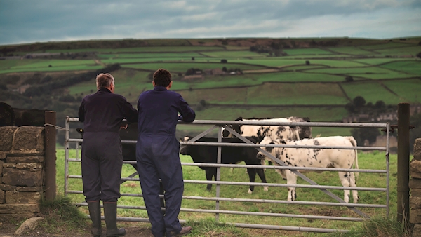 Zurich Farm Insurance delivers top class personal service to Irish farmers
