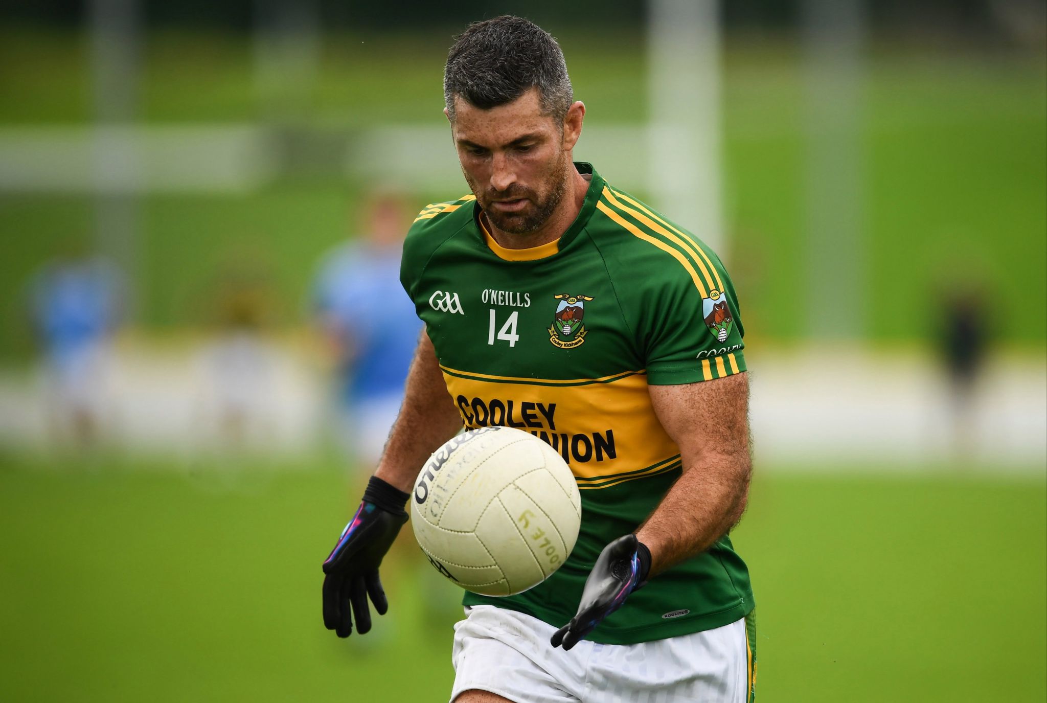 Cooley Kickhams Chairman Says Rob Kearney Is A Great Addition To Have Back