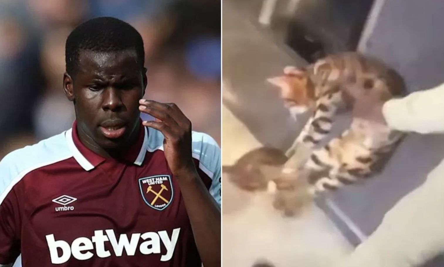 West Ham footballer Zouma handed community service for cat cruelty