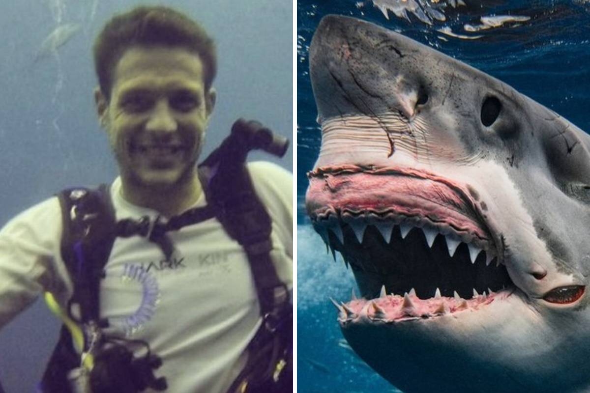British Swimmer Torn In Half By Shark While Training For Charity Event British Swimmer Torn In Half By Shark While Training For Charity Event