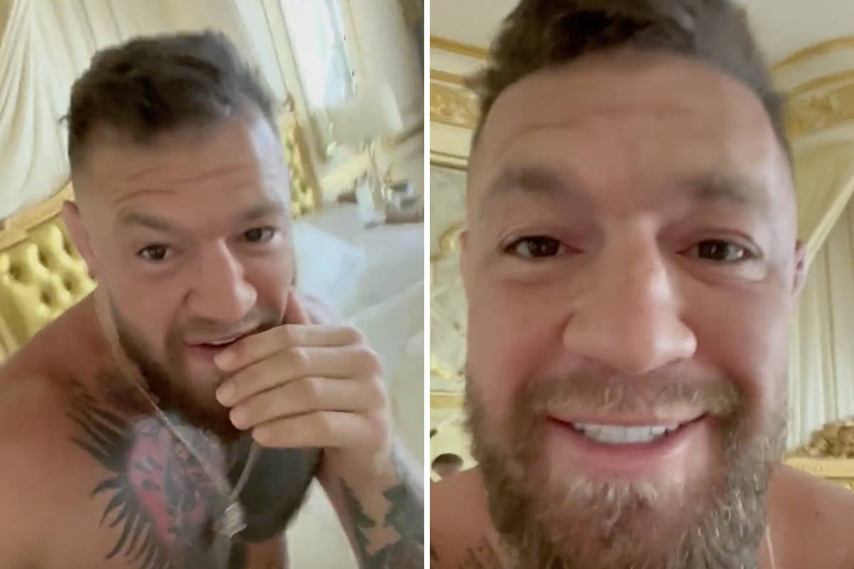 (Video) McGregor Responds To Paul's Criticism Of Boxing Skills